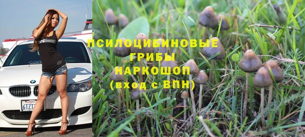 2c-b Надым