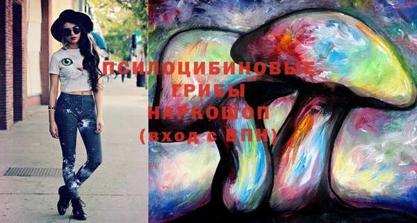 2c-b Надым
