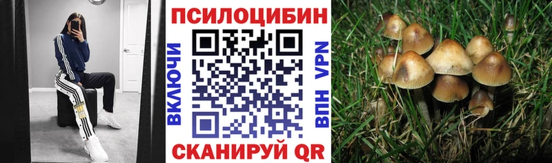 Галлюциногенные грибы Psilocybe  блэк спрут зеркало  Нелидово 